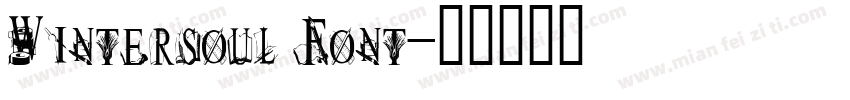 Wintersoul Font字体转换